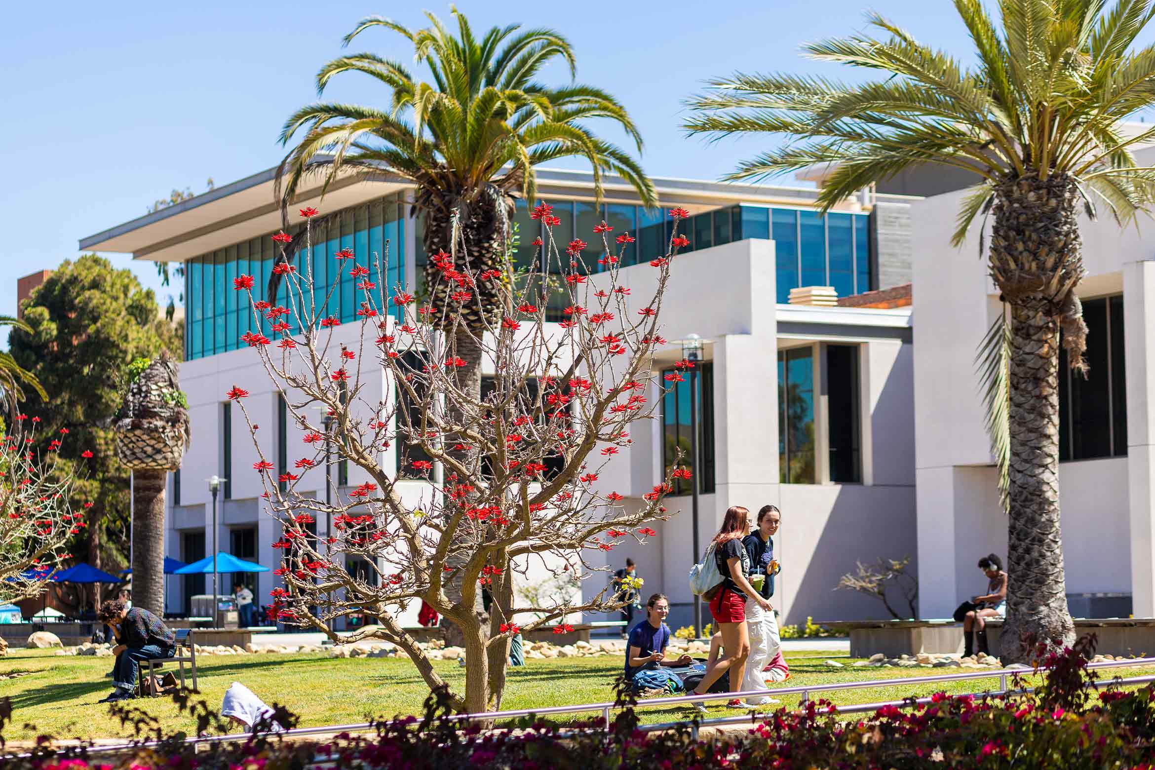 A building with palm trees in front and students casually engaged in various activities.