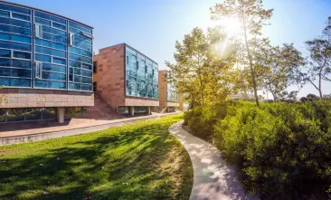 Image of a UCSB pathway on campus