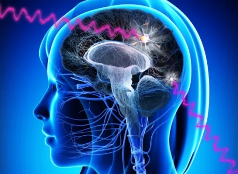 3D graphic of a brain giving off brain waves