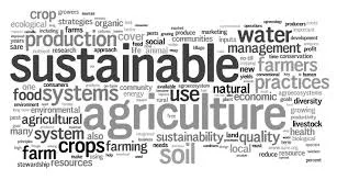 graphic of a group of text with buzzwords surrounding a bigger text of "sustainable agriculture"