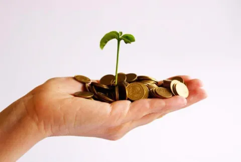 photo of a hand holding some ambiguous coins with a green sprout coming out of the middle of the coins